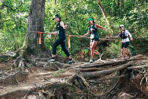 BIB: 
                            <button type="button" onclick="openModal(27556412)" class="btn btn-primary btn-sm float-right btn-popup" data-toggle="modal" data-target=".modal-high-quality">
                        <i class="fas fa-shopping-cart"></i> Add to Cart
                    </button>
                                            <button type="button" onclick="isThisMe(27556412, true)" class="btn btn-success btn-sm float-right btn-popup btn-isme hidden" data-toggle="tooltip" data-placement="bottom" title="นี่คือรูปของคุณใช่ไหม คลิกที่นี่เพื่อเอาเข้าอัลบั้ม">
                        <i class="fas fa-plus"></i> Add to album
                    </button>
                    <button type="button" onclick="isThisMe(27556412, false)" class="btn btn-warning btn-sm float-right btn-popup btn-isnotme hidden">
                        <i class="fas fa-ban"></i> Remove from album
                    </button>